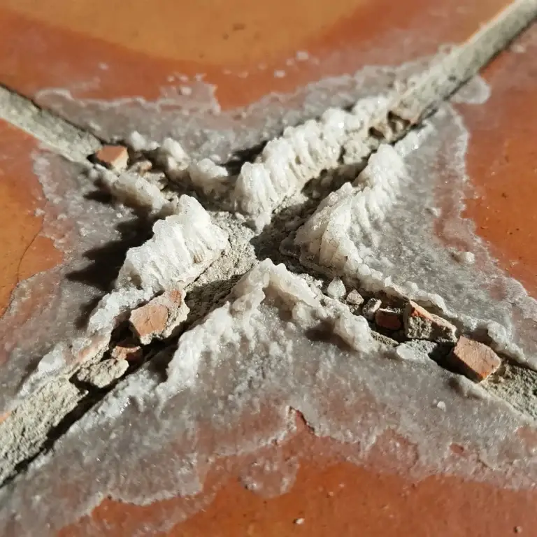 Saltillo Tile Restoration in Tampa Bay: A Neighborhood Guide 3 Saltillo Floor Cleaning Bayshore Beautiful by Marble Mechanics